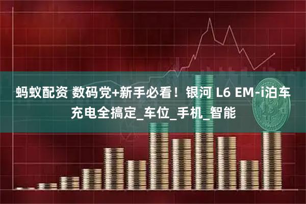 蚂蚁配资 数码党+新手必看！银河 L6 EM-i泊车充电全搞定_车位_手机_智能