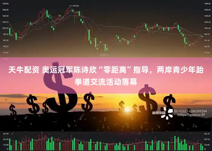 天牛配资 奥运冠军陈诗欣“零距离”指导，两岸青少年跆拳道交流活动落幕