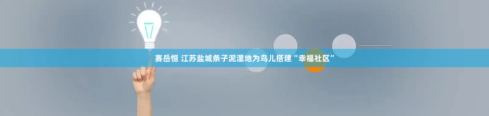 赛岳恒 江苏盐城条子泥湿地为鸟儿搭建“幸福社区”