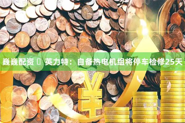 巍巍配资 ​英力特：自备热电机组将停车检修25天
