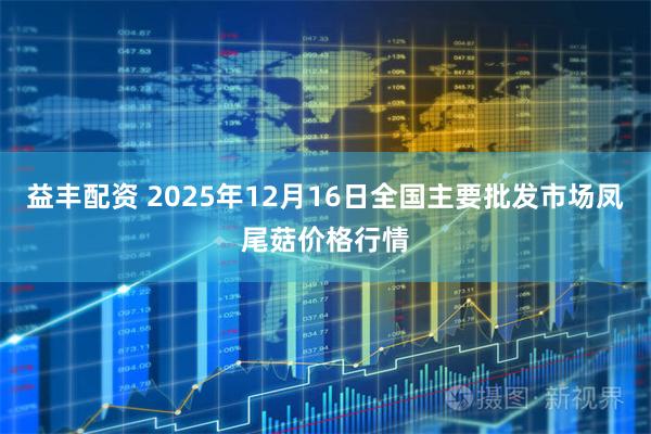 益丰配资 2025年12月16日全国主要批发市场凤尾菇价格行情