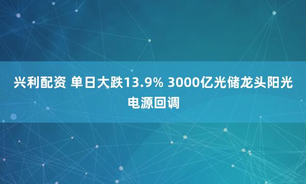 兴利配资 单日大跌13.9% 3000亿光储龙头阳光电源回调